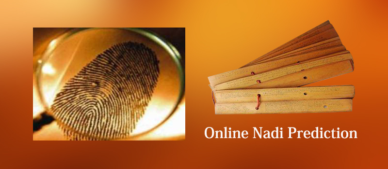 online-nadi-prediction